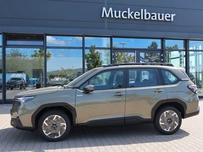 Neu Subaru Forester Trend 136 PS (100 kW) 2025 Grün SUV