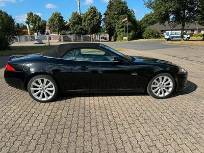 Jaguar XK