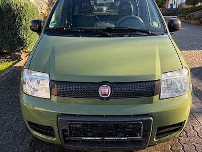Second-hand Fiat Panda 4x4 60 CP (44 kW) 2010 Verde Hatchback