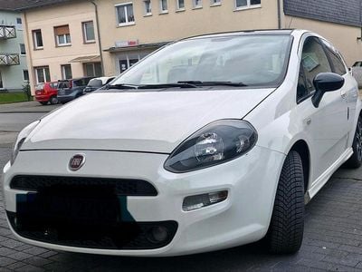 Gebraucht Fiat Punto Pop 69 PS (50 kW) 2013 Weiß Kleinwagen
