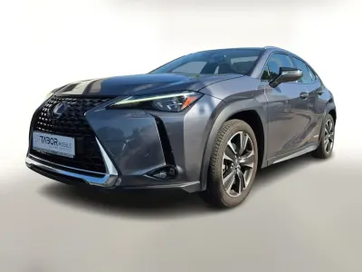 Gebraucht Lexus UX Luxury Line 178 PS (130 kW) 2019 Mercury grey metallic SUV
