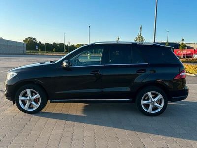 Mercedes ML250