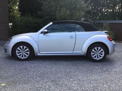 VW Beetle