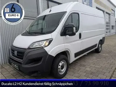Usata Fiat Ducato