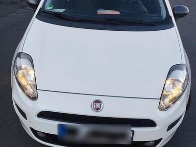 Usata Fiat Punto 90 CV (66 kW) 2016 Bianco Utilitaria