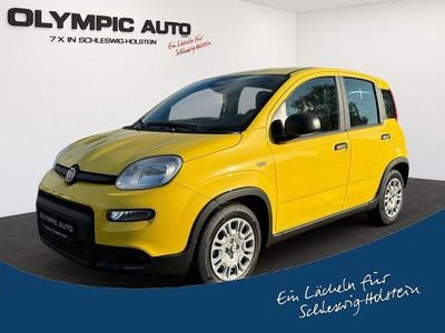 Gebraucht Fiat Panda 69 PS (50 kW) 2025 509 / tropicali gelb Kleinwagen