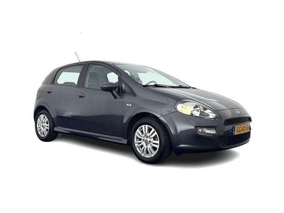 Usata Fiat Punto Evo Lounge 82 CV (60 kW) 2015 Grigio Utilitaria