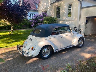 gebraucht VW Käfer Cabrio Bj 1965