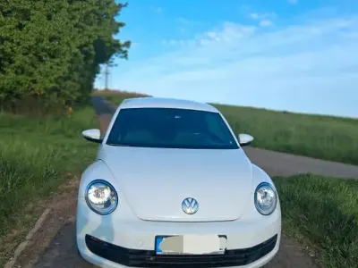 Brugt VW Beetle Exclusive 105 HK (77 kW) 2014 Hvid Hatchback
