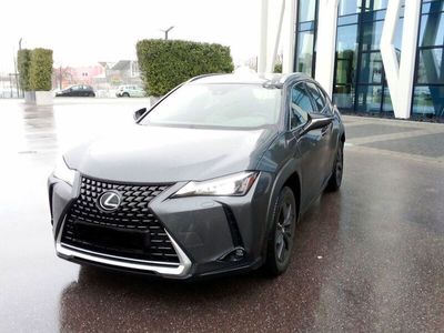 gebraucht Lexus UX 250h Executive 2WD