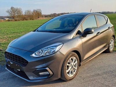 Gebraucht Ford Fiesta ST-Line 125 PS (91 kW) 2018 Grau Kleinwagen