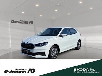 Gebraucht Skoda Fabia Tour 110 PS (80 kW) 2024 Moonweiss metallic Kleinwagen