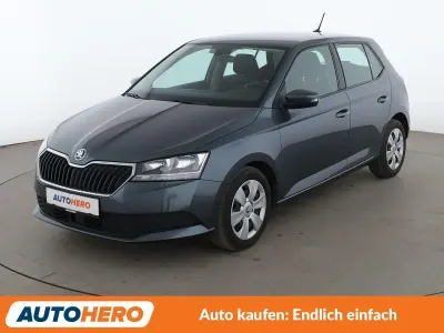 Gebraucht Skoda Fabia Ambition 95 PS (69 kW) 2021 Grau Kleinwagen
