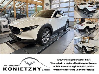 Gebraucht Mazda CX-30 Selection 150 PS (110 kW) 2021 Weiß SUV