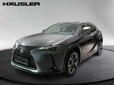 Gebraucht Lexus UX 152 PS (111 kW) 2023 Grau SUV