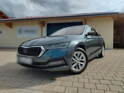 Gebraucht Skoda Octavia Style 150 PS (110 kW) 2020 Grau Kombi