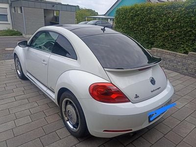 VW Beetle