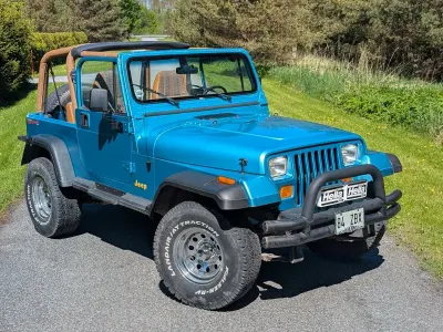 Gebraucht Jeep Wrangler 121 PS (88 kW) 1995 Blau SUV