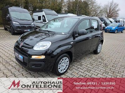 Neu Fiat Panda Icon 69 PS (50 kW) 2025 Schwarz Limousine