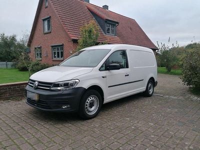 Weiß Gebraucht 2019 VW Caddy Maxi Van / Kleinbus | 14.950 € (Superpreis)