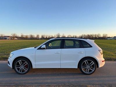 Gebraucht Audi SQ5 Competition 326 PS (239 kW) 2016 Weiß SUV