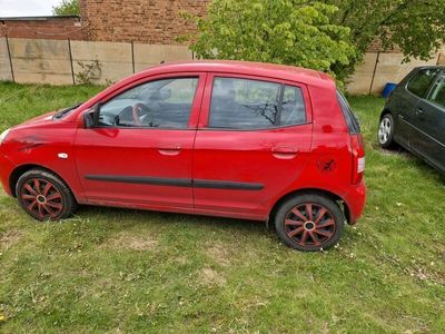 gebraucht Kia Picanto lx