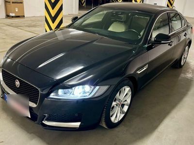 gebraucht Jaguar XF 20d AWD 180PS Chequered Flag Automatik Ch...