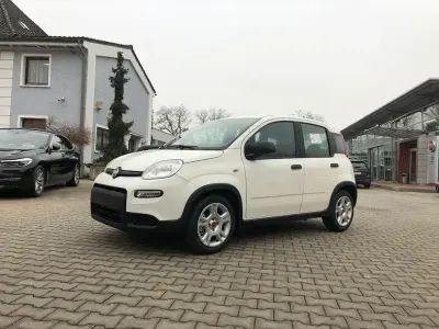 Gebraucht Fiat Panda 69 PS (50 kW) 2024 Gelato weiß Kleinwagen
