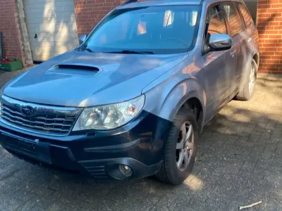 Occasion Subaru Forester 170 ch (125 kW) 2013 Argent SUV