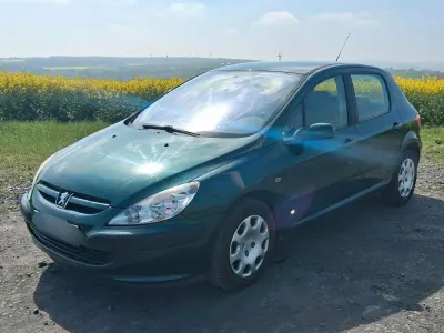 Gebraucht Peugeot 307 109 PS (80 kW) 2002 Grün Limousine