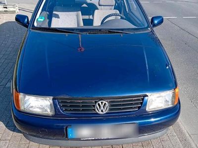 VW Polo