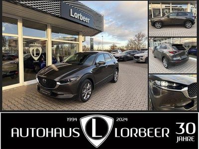 Gebraucht Mazda CX-30 Selection 150 PS (110 kW) 2020 Grau SUV