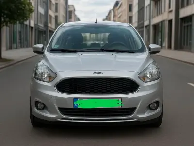 Brugt Ford Fiesta