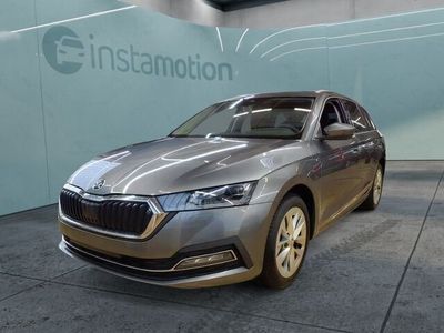 Gebraucht Skoda Octavia Style 150 PS (110 kW) 2023 Grau Kombi