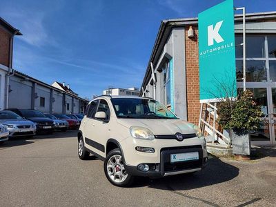 Gebraucht Fiat Panda 4x4 Rock 75 PS (55 kW) 2013 Beige Kleinwagen