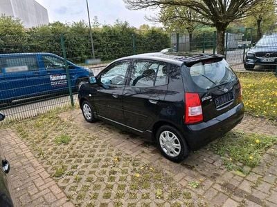 Usata Kia Picanto 65 CV (47 kW) 2007 Nero Utilitaria