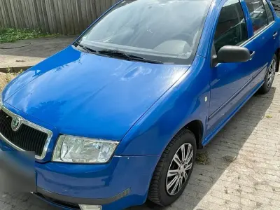 Brugt Skoda Fabia