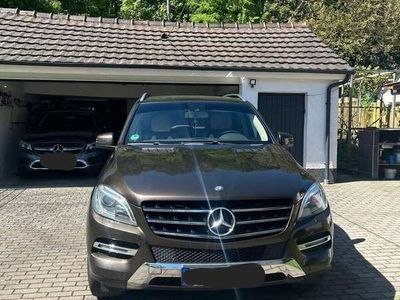Mercedes ML250