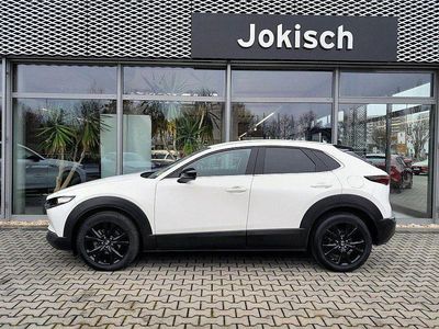 Gebraucht Mazda CX-30 Nagisa 140 PS (102 kW) 2024 Weiß SUV
