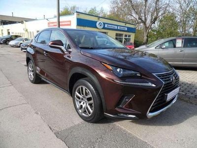 Brugt Lexus NX300h 155 HK (114 kW) 2019 Amber cs (metallic) SUV