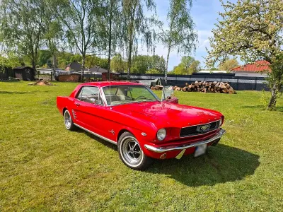 Occasion Ford Mustang 1965 Rouge Berline