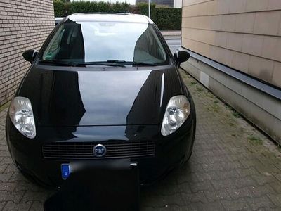 gebraucht Fiat Punto 