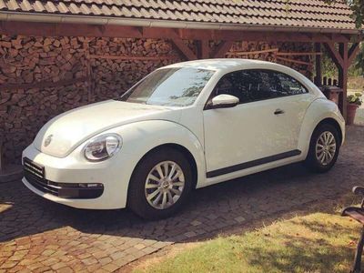 VW Beetle