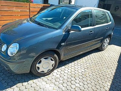 VW Polo