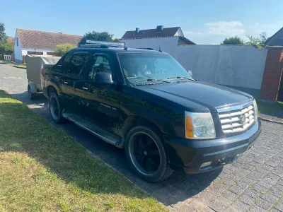 Gebraucht Cadillac Escalade