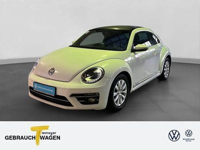 VW Beetle