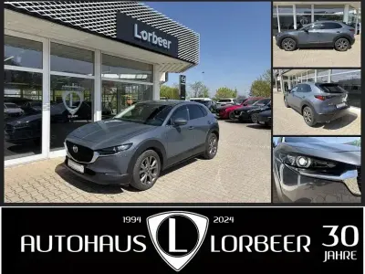 Brugt Mazda CX-30 Selection 179 HK (131 kW) 2020 Grå SUV
