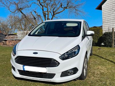 Weiß Gebraucht 2016 Ford S-MAX Titanium Van / Kleinbus | 13.990 € (Teuer)