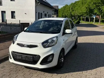 Gebraucht Kia Picanto Attract 69 PS (50 kW) 2014 Weiß Kleinwagen