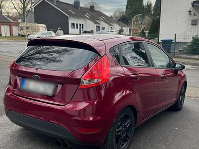 Andere farben Gebraucht 2009 Ford Fiesta Kleinwagen | 2.300 € (Fairer Preis)
